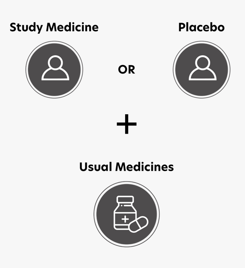 Study Medicine or Placebo plus Usual Medicines graphic