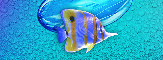 Merck-MK9999-U01-LIGHTBEAM-Website-Substudy-01A-thumbnail-1