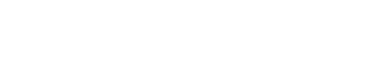 valor-logo-white